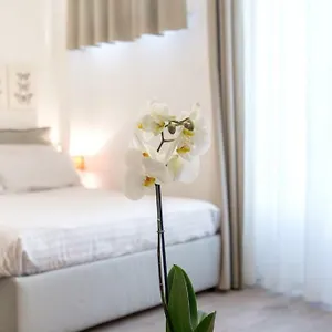 Apartment Santa Croce